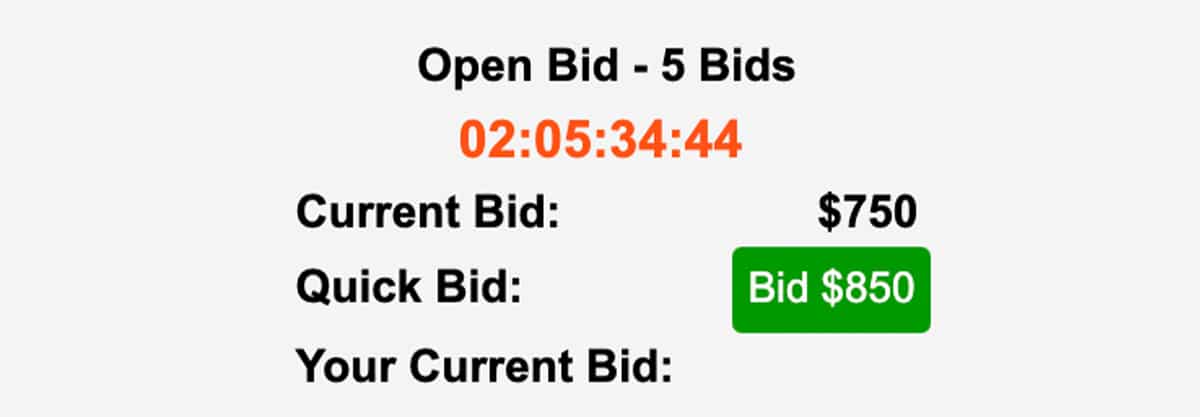 Preview of an impound vehicle auction bid box